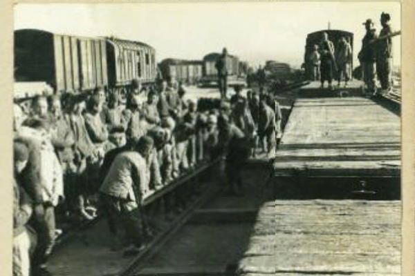 A community organized a charity auction that raised $8,000 for an animal shelter