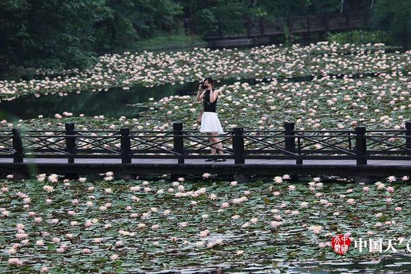 A research study showed that regular meditation can reduce stress levels