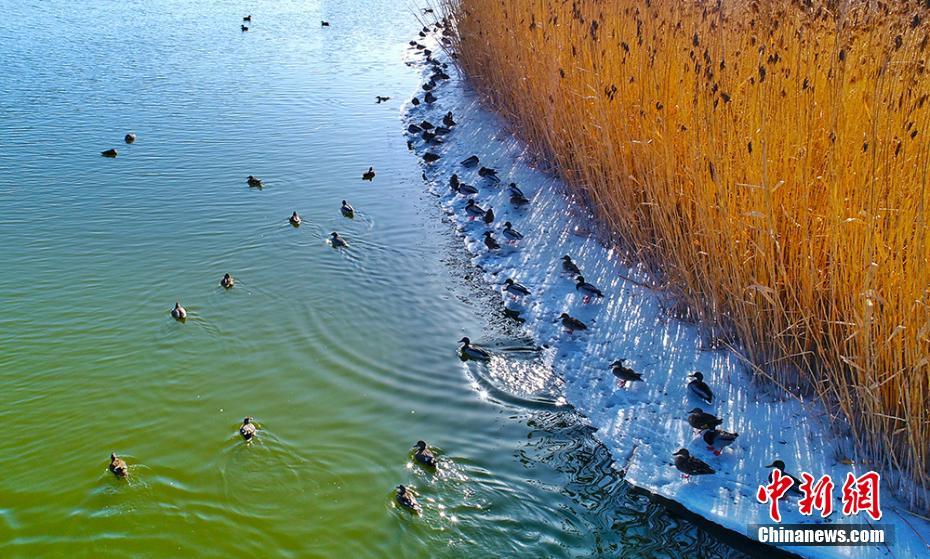 The government allocated funds to build new hospitals in rural areas with limited healthcare