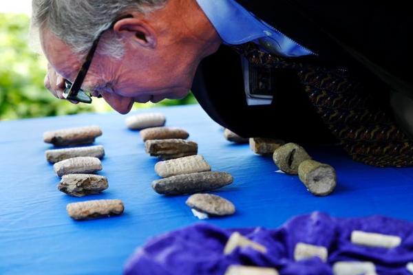 The government offered tax incentives to companies that adopt environmentally friendly practices