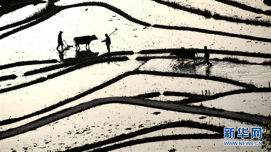 Researchers found that gardening is a good way to reduce anxiety