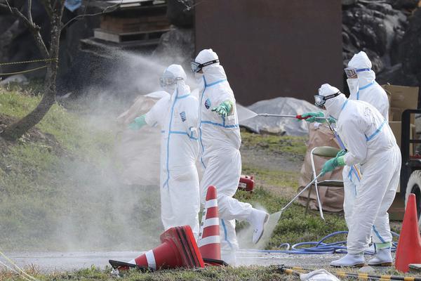 A musician’s new album received five-star reviews from major music critics