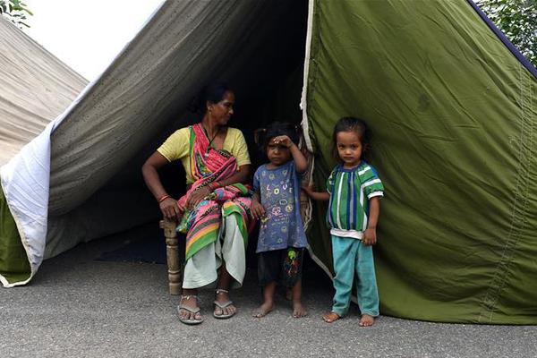 Local farmers reported a 28% increase in corn yields thanks to new drought-resistant seeds