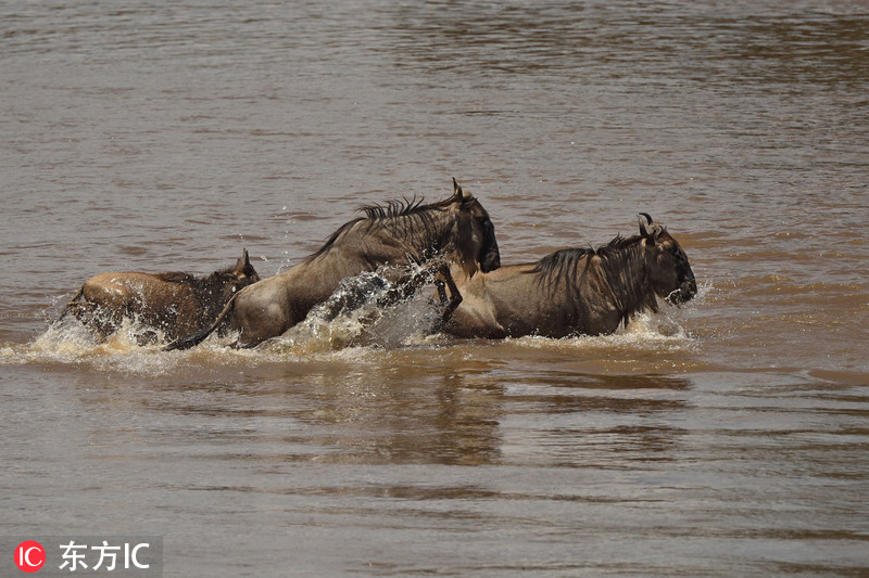 A coffee shop started using coffee grounds to make compost for a local community garden