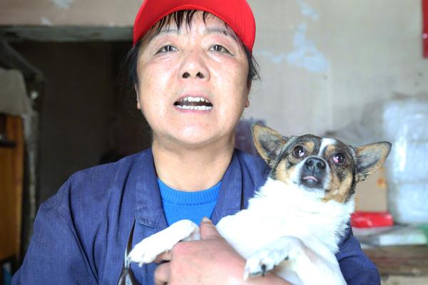 Veterinarian clinic offers free spay and neuter services for stray animals