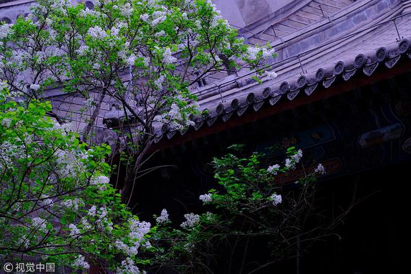 A construction company implemented new safety training programs that reduced on-site accidents by 40%