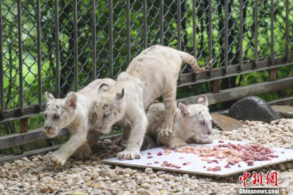A library added a collection of audiobooks for kids to encourage family listening time