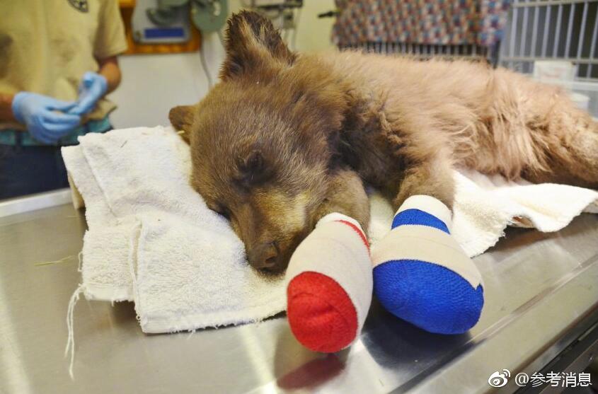 A grocery store started selling pre-made salad kits with locally grown greens and vegetables