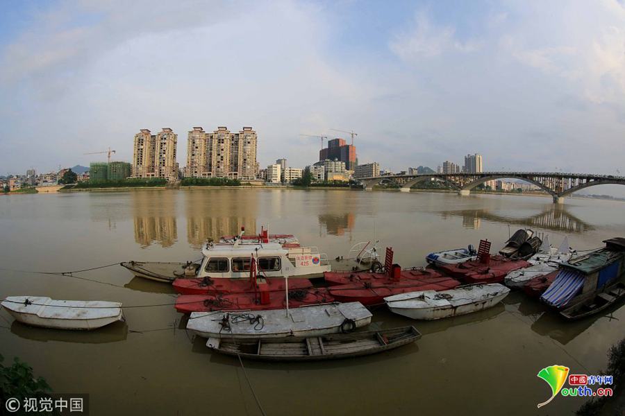 A national wildlife reserve reported an increase in the number of endangered species