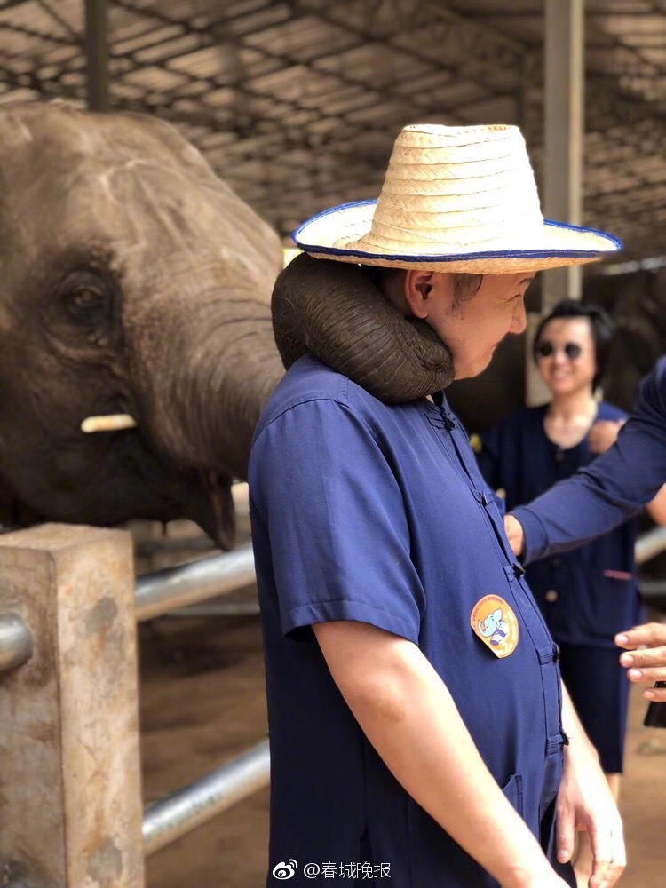 A fashion brand collaborated with a celebrity to design a clothing line