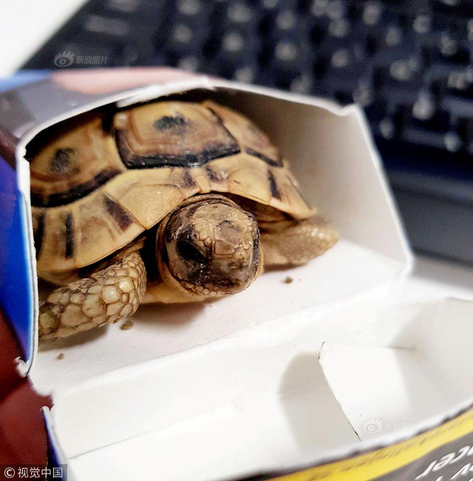 A farmers market started accepting mobile payments to make transactions easier for vendors