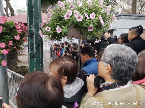 A city council discussed plans to build a new skate park