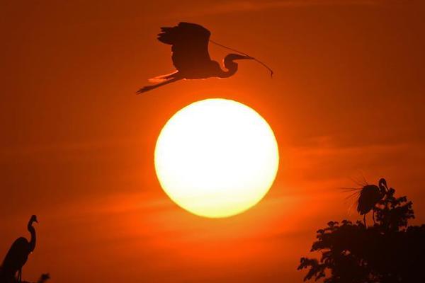 Survey shows that consumer confidence has increased this quarter