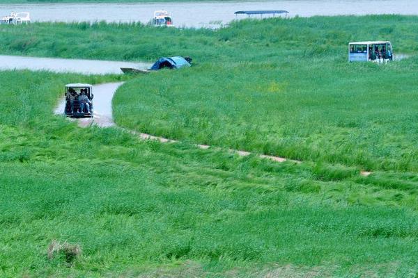 Local farmers started using drone technology to monitor crop health and optimize irrigation