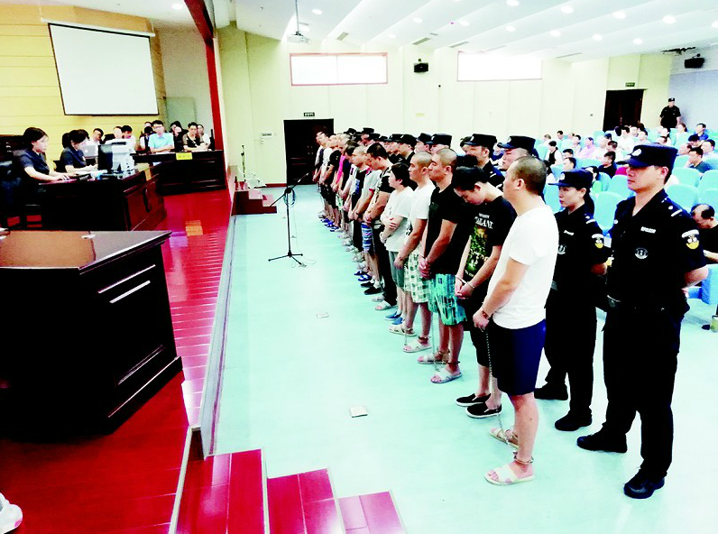 Candle company supports reforestation with each sale