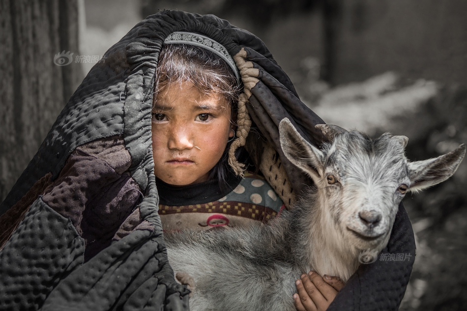 A startup launched an app that helps users track their daily exercise and calorie intake