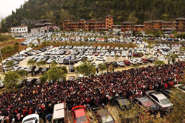 A pet rescue organization found homes for 300 dogs and cats in the past six months