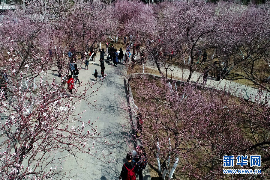 A community organized a neighborhood watch program to improve safety in the area