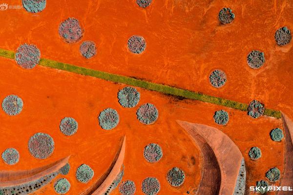 A grocery store started selling 