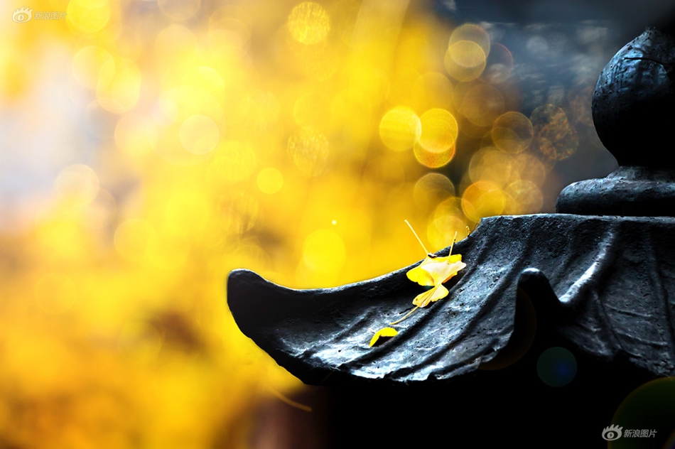 A fire department conducted a 