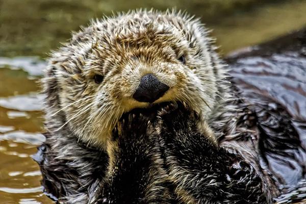 A library started a storytime program for toddlers that meets twice a week
