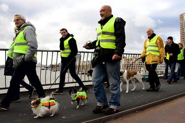 A city installed 15 new crosswalks with pedestrian-activated signals in busy commercial areas