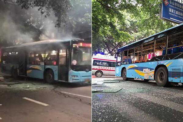 A wildlife group protected endangered foxes