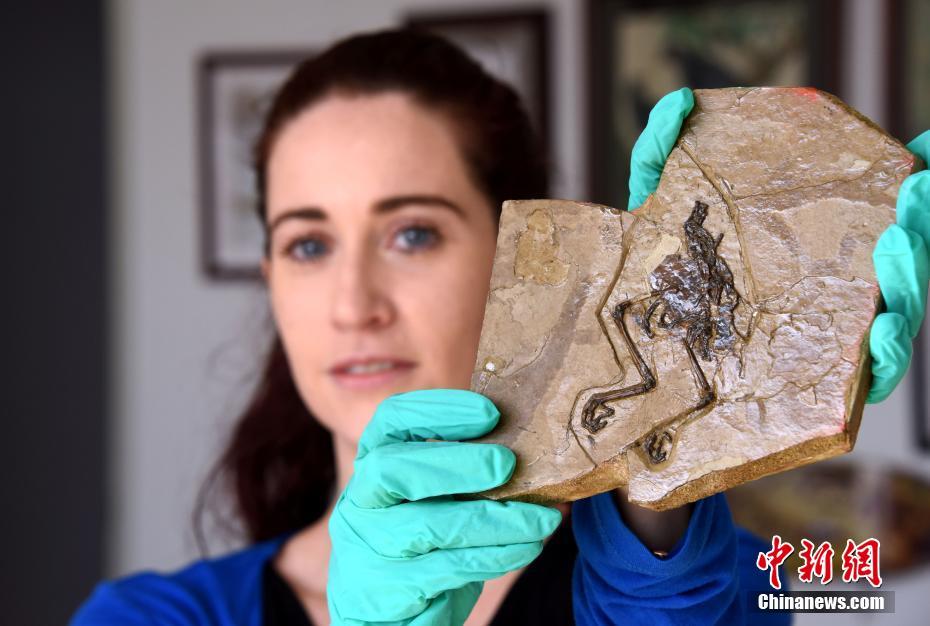 A major sports league announced it will add three new teams starting from the 2026 season