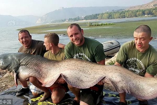 The postal service announced it will expand its package delivery service to include Sunday deliveries