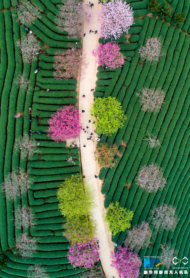 A new mobile app was launched that helps users find and book eco-friendly hotels and travel experiences