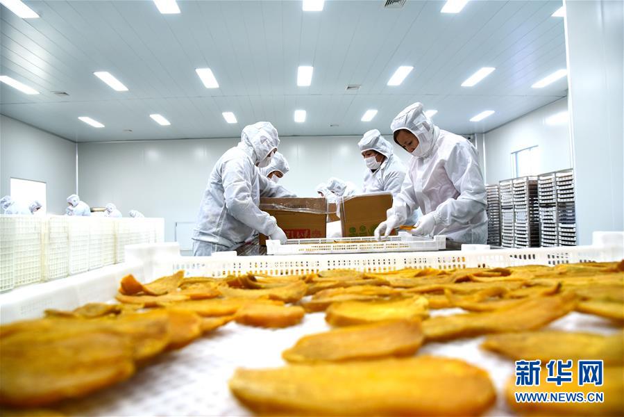 The national soccer team won their first match in the World Cup defeating a defending champion with a score of 3-0