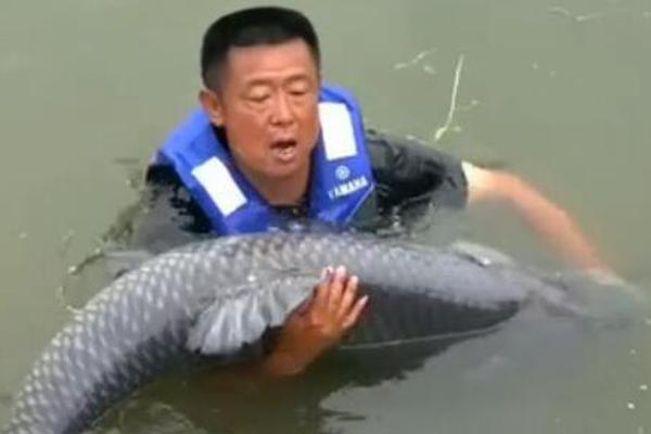 A hotel chain announced it will install electric vehicle charging stations at all locations