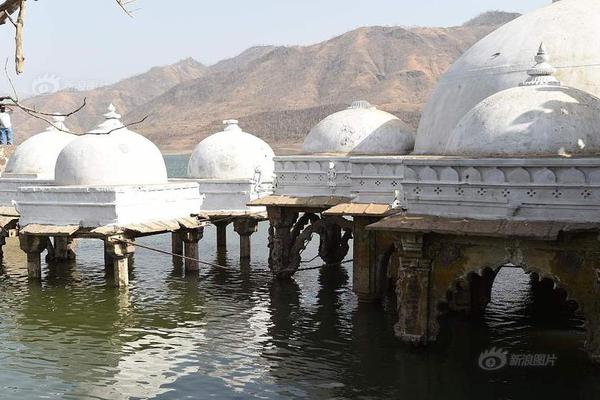 The WHO released new recommendations for healthy eating to prevent chronic diseases