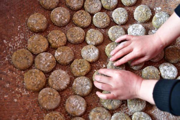 Automotive company recalls 75,000 sedans due to faulty airbag sensors