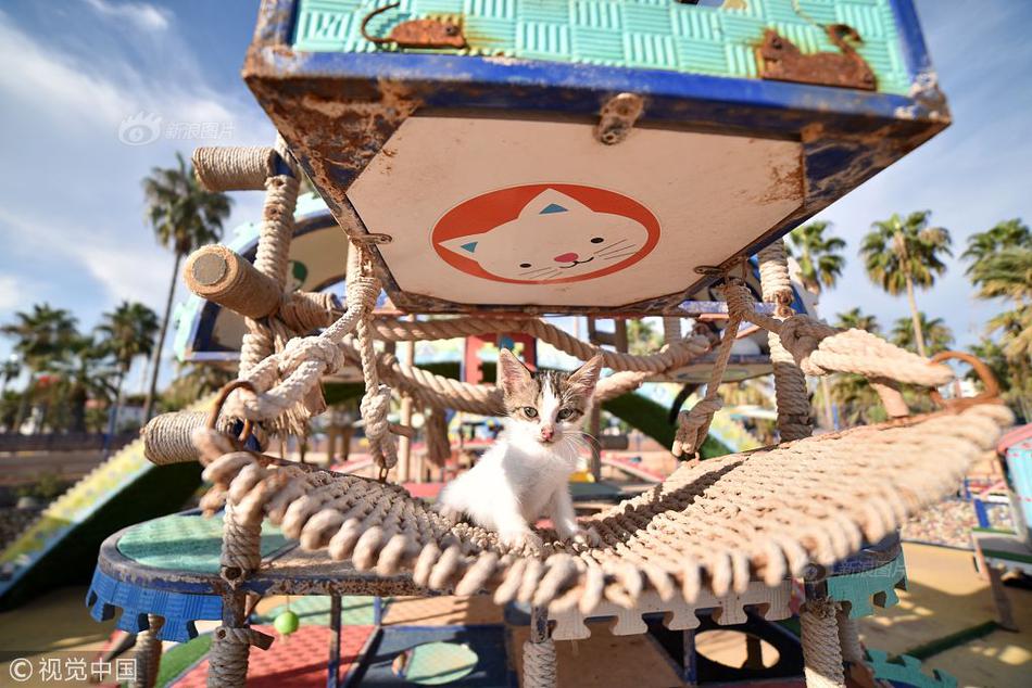 Engineers designed a new type of wind turbine that is 25% more efficient than older models