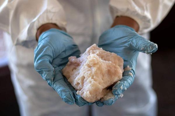 A taxi company offered free rides to veterans on Veterans Day as a way to show appreciation