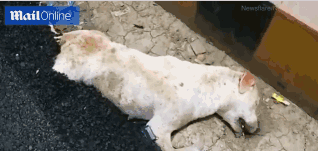 A school district added a new art program that teaches students pottery and digital design