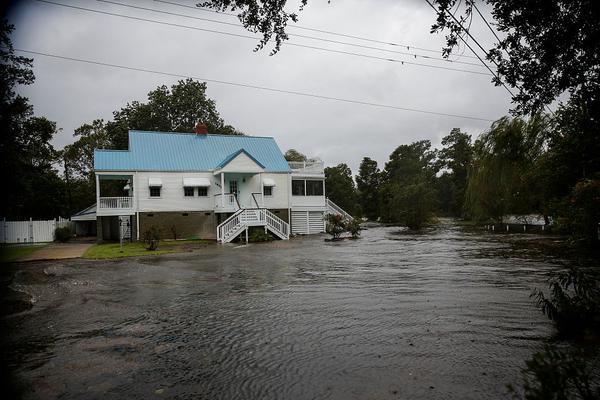 A farm started growing a variety of herbs to sell to local restaurants and chefs