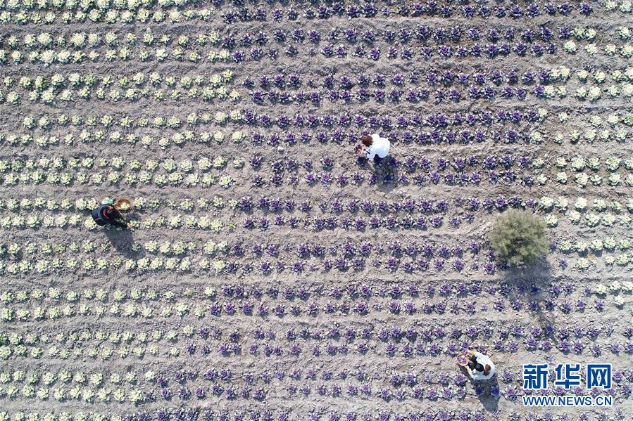 A grocery store started selling organic produce boxes delivered weekly