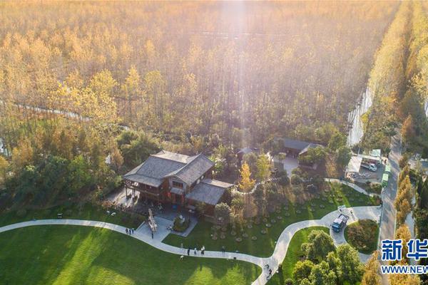 A local bakery started selling gluten-free pastries made with almond flour and coconut sugar