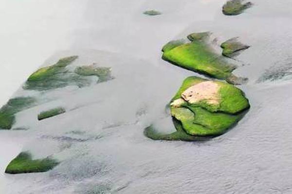 A music award ceremony was held last night with a rising star taking home the top prize for Best New Artist