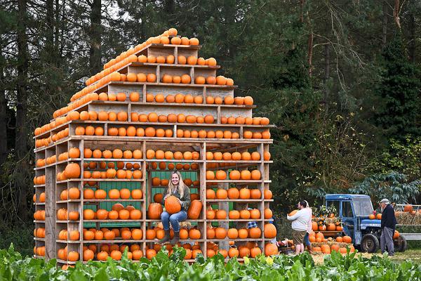 Hot weather in the northeast led to record attendance at public pools and water parks