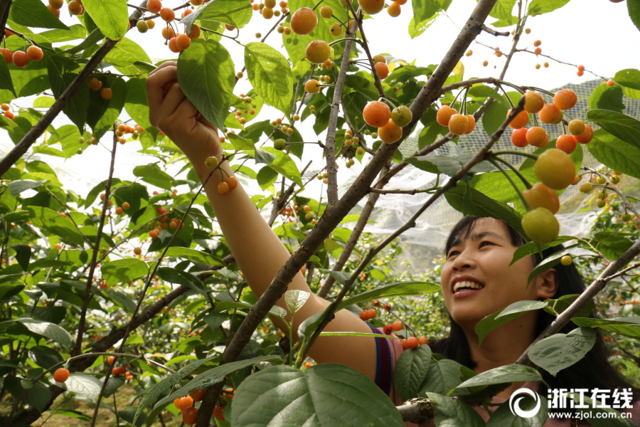 Researchers found that spending time gardening reduces symptoms of anxiety in older adults