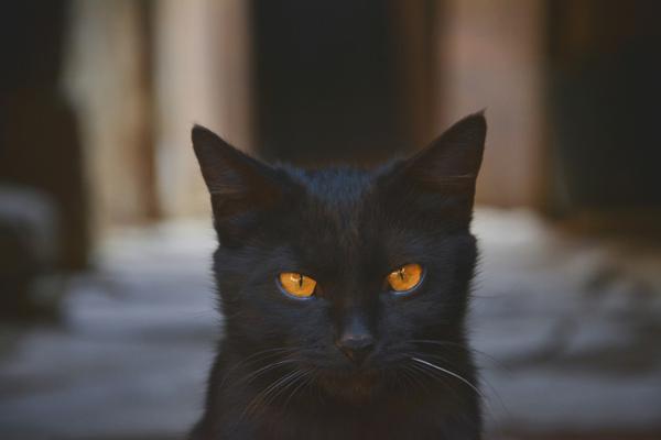 A major bank announced it will offer low-interest loans to small businesses owned by women and minorities