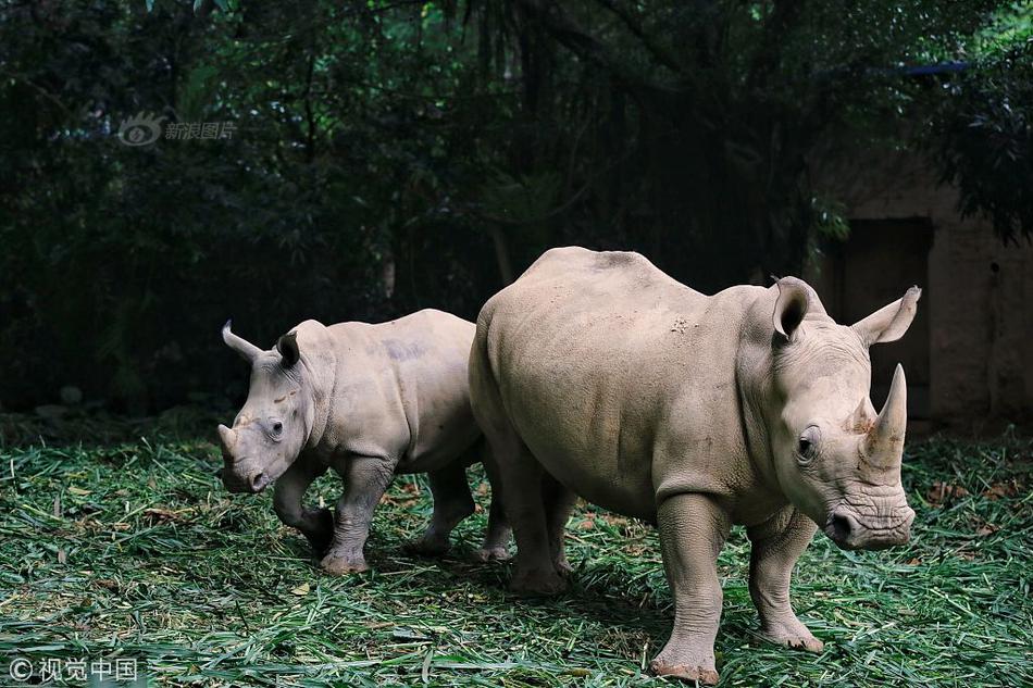 Researchers published a study showing that eating breakfast helps children focus in school