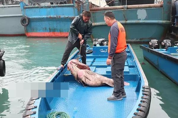 A golfer set a new course record with a score of 61 during a professional tournament