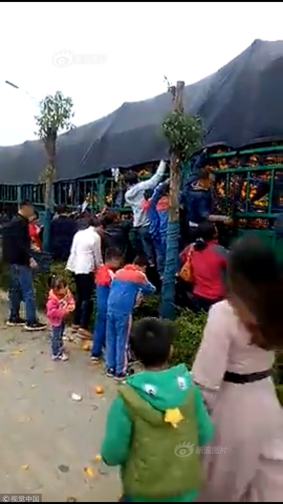 A library added new digital tools for teachers to access educational resources