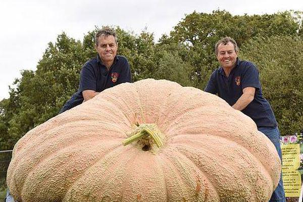 Community organizes beach cleanup that collects 3 tons of plastic waste