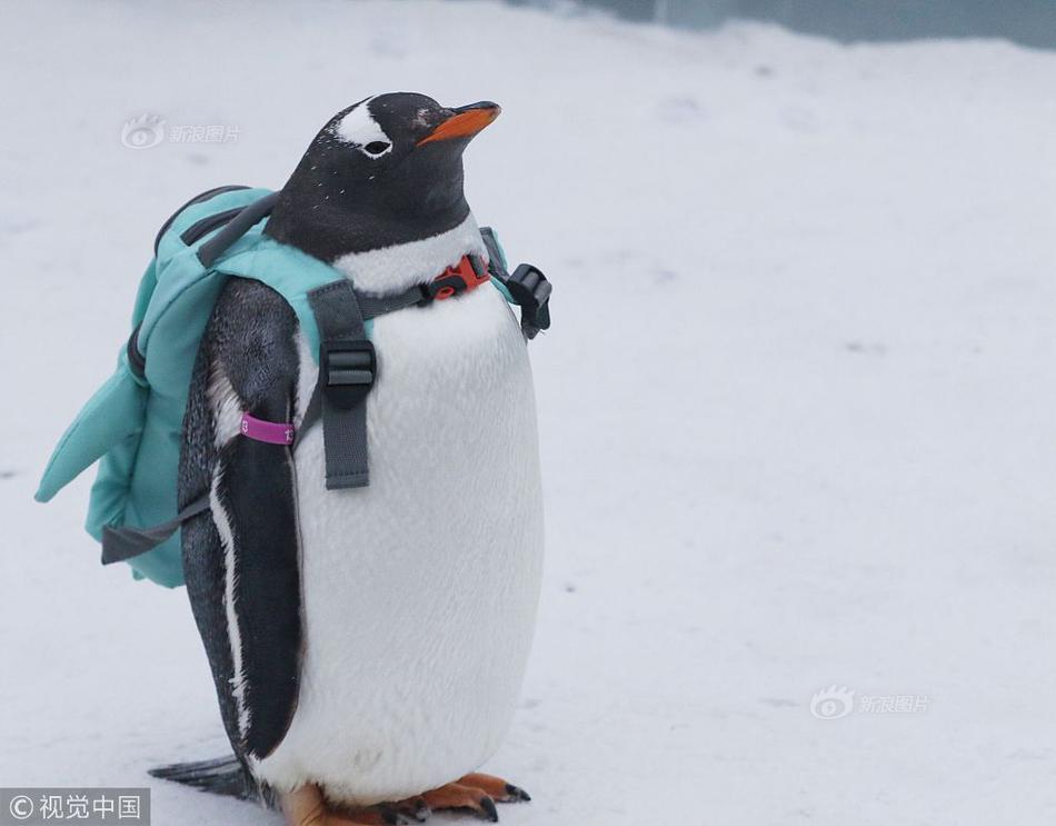 A community garden hosted a