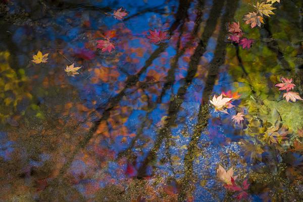 A fashion store started offering 